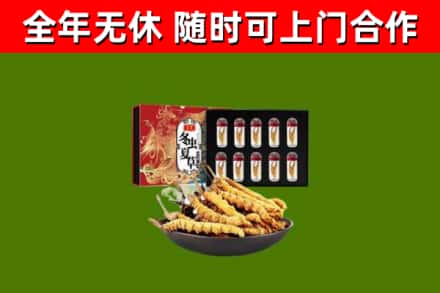 兴宁回收冬虫夏草价格